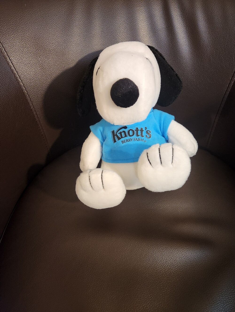 Brand New Knott's Berry Farm Plush 9" Stuffed Animal